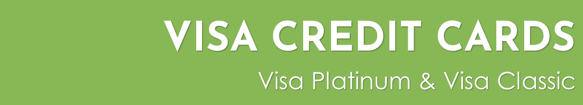 visa card header.REV2